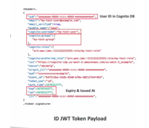 Decoded data from Cognito JWT Token